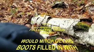 A new species