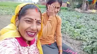 खुशबू रानी प्याज लगाने के लिए गोद रहे हैंखेत