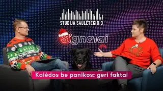 🎙 Iš Studijos Saulėtekio 9 | Signalai Ep. 4 | Kalėdos be panikos: geri faktai