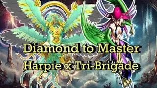 Diamond to Master | Harpie Lady x Tri-Brigade |Master Duel Season 45