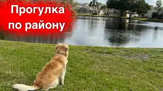 Прогулка по нашему району,Trinity,  Florida, USA # 18