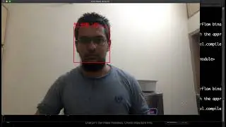 Face Mask Detector in Python Using Machine Learning