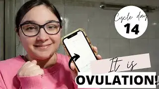 Live Ovulation Test for cd14 || Ovulation day! || TTC Baby 3 Cycle 34