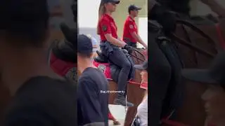 Stylish Mounted police of Istanbul | Turkey 🇹🇷