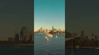 You Won't Believe This Spot! Breathtaking Sydney Harbour Views without the crowds!