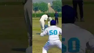 Brilliant Inswing Bowling #cricket #psl #ipl #nature #relax #icc #ecb #pcb #acc #viral #yts