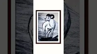 Western Style Ram Drawing:The High Mountain King 🏔️🐏  #art#westernart#painting#pencildrawing#shorts