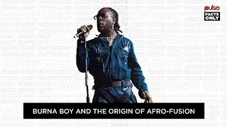 Burna Boy and The Origin of Afro-Fusion | Pulse Facts Only