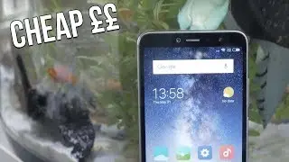 Xiaomi Redmi S2 - Honest Review - Just A Vacation PHONE!?