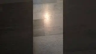 Je vous présente mes voitures télécommandé