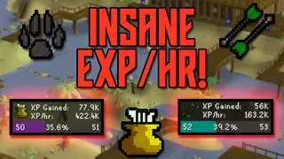 БЕЗУМНАЯ ПРОКАЧКА &mdash; Руководство по возникновению проблем (OSRS)