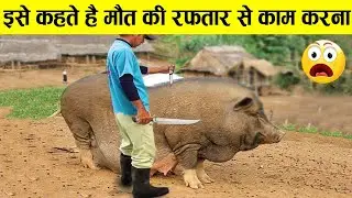 इनके काम करने की स्पीड आप आँखों से नहीं देख पाओगे top 20 fastest workers in the world