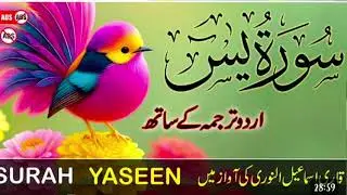 Surah Yasin (Yaseen) | By Sheikh Abdur-Rahman As-Sudais | Full With Arabic Text (HD) | 36سورۃ یس