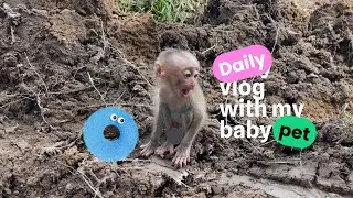 Independent Baby: Tomo Says 