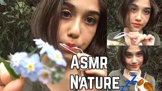 (ASMR )in my garden-Nature-Sóftbol Spoken-Mic nibbling -Tingles-Comedy
