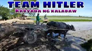 Team Hitler karyada