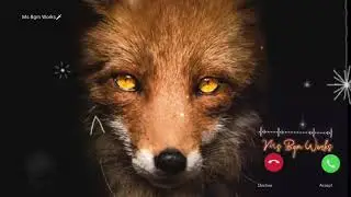 Turkish Viral Trending 😈Ringtone 2021 | Fox Ringtone 🎶I #turkey Ringtone Music / Ms Bgm Works🗡