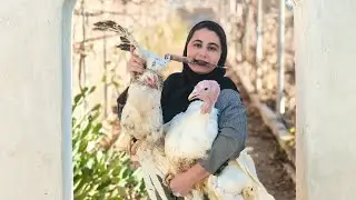 CEO on the Farm! Catching Turkeys in a Suit for a Royal Feast 👠🦃
