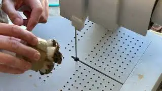 Gold Stem Torch Fragging