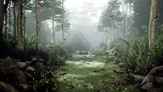 Virtual Video Production Set: Forest | Soflo Studio