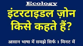 Intertidal Zone (इंटरटाइडल ज़ोन) किसे कहते हैं? | Life Between Tides 🦀