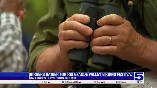2025 Rio Grande Valley Birding Festival kicks off