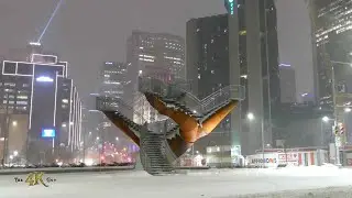 Canada: Temp&ecirc;te hivernale en cours / Major ongoing snow blizzard 2-7-2020