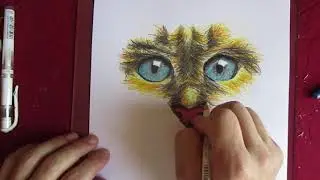 How to draw cat eyes