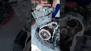 tvs apache timing chain setting