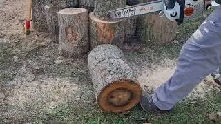Stihl MS 361