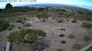 Tapo C600 Time Lapse Video 
