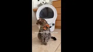 Litter-Robot EVO