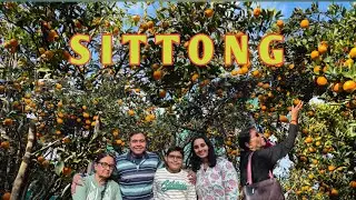 Sittong