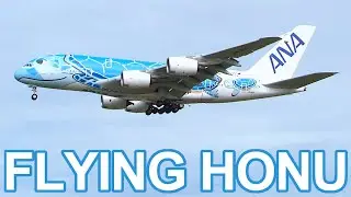 ANA A380-841 Flying Honu (JA381A, JA382A) Narita International Airport Landing and Takeoff