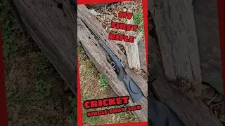 My First Rifle 🦗Cricket 22LR Single Shot