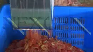 Tomato (टोमॅटो) | Vegetables and Fruits Slicing Machine | Food Processing Machine | NEXGEN HYGIENE.