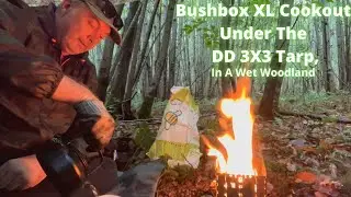 Bushbox XL Cookout Under The DD 3x3 Tarp, In A Wet Woodland