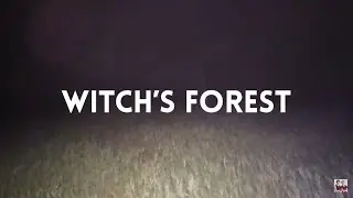 Witch's Forest - Fan-made Horror Movie Trailer (Sam & Colby)