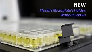 PST 60HL 4 - New Flexible Microplate's Holder, Without Screws, ProfiLab24 Laborger&auml;te