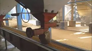 120 ton per day most modern parboiled auto rice mill