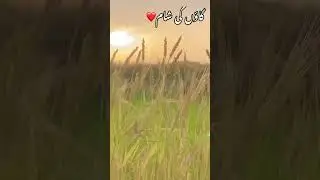 Subanallah Village shame short Ramzan