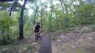 Arkansas Upper Buffalo Mountain Bike Trail System