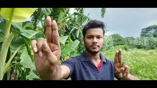 ASMR One minute Cranial nerve examination | Outdoor