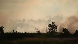 Surrey 2-alarm brush fire Colebrook Rd full edit