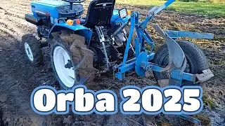 Orba 2025