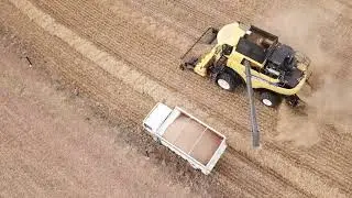 Oudemuragie Boerdery 2019