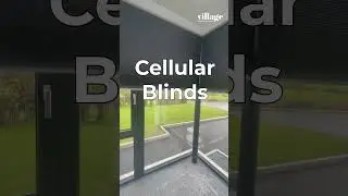 Best Living Room Blinds for 2024!
