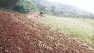 gradiando as terra para plantar mihlo no meu sitio.