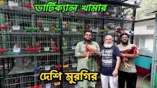 ভার্টিক্যাল খামার দেশি মুরগির #shakilfarming #দেশিমুরগি