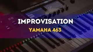 Synthesizer Melodies // Anna Tkachuk